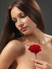 Elvira Red Carnation